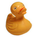 Cyberduck Application Icon